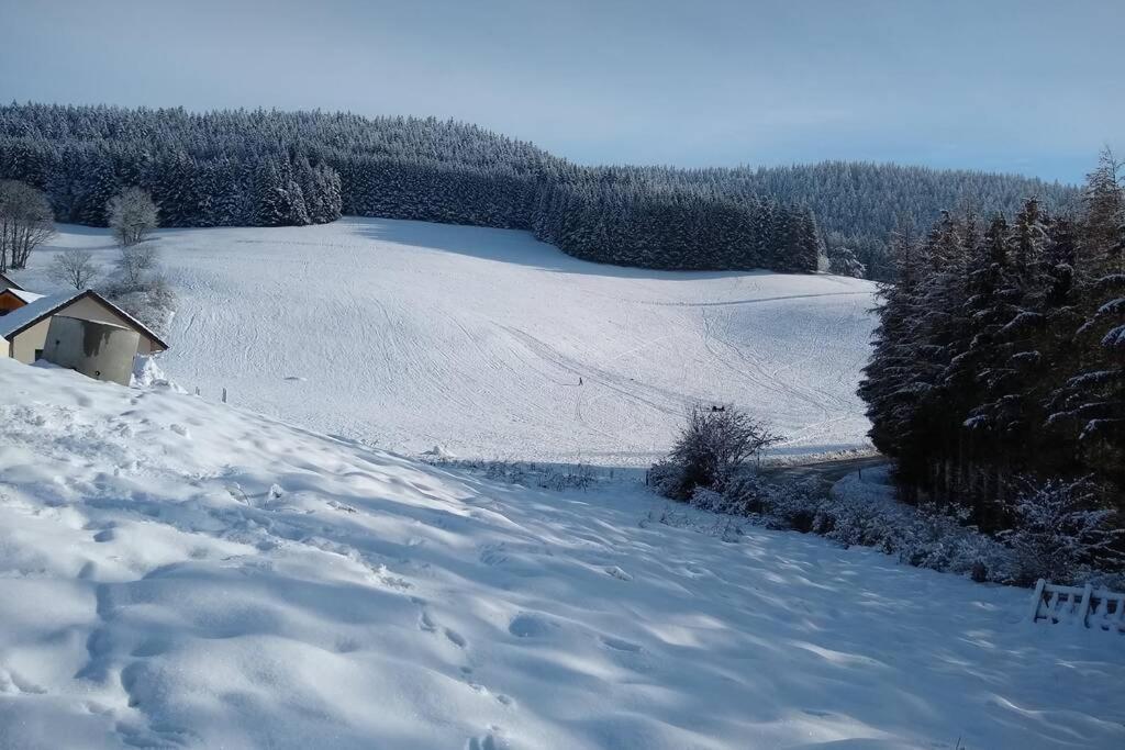 Appartement Dans Maison, A Proximite Du Village Villard-de-Lans Exteriör bild